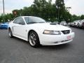 2004 Oxford White Ford Mustang GT Coupe  photo #1