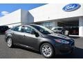 Magnetic - Focus SE Sedan Photo No. 1