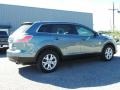 Liquid Silver Meatllic - CX-9 Touring AWD Photo No. 10