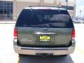 2003 Estate Green Metallic Ford Expedition Eddie Bauer 4x4  photo #4