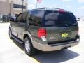 2003 Estate Green Metallic Ford Expedition Eddie Bauer 4x4  photo #5