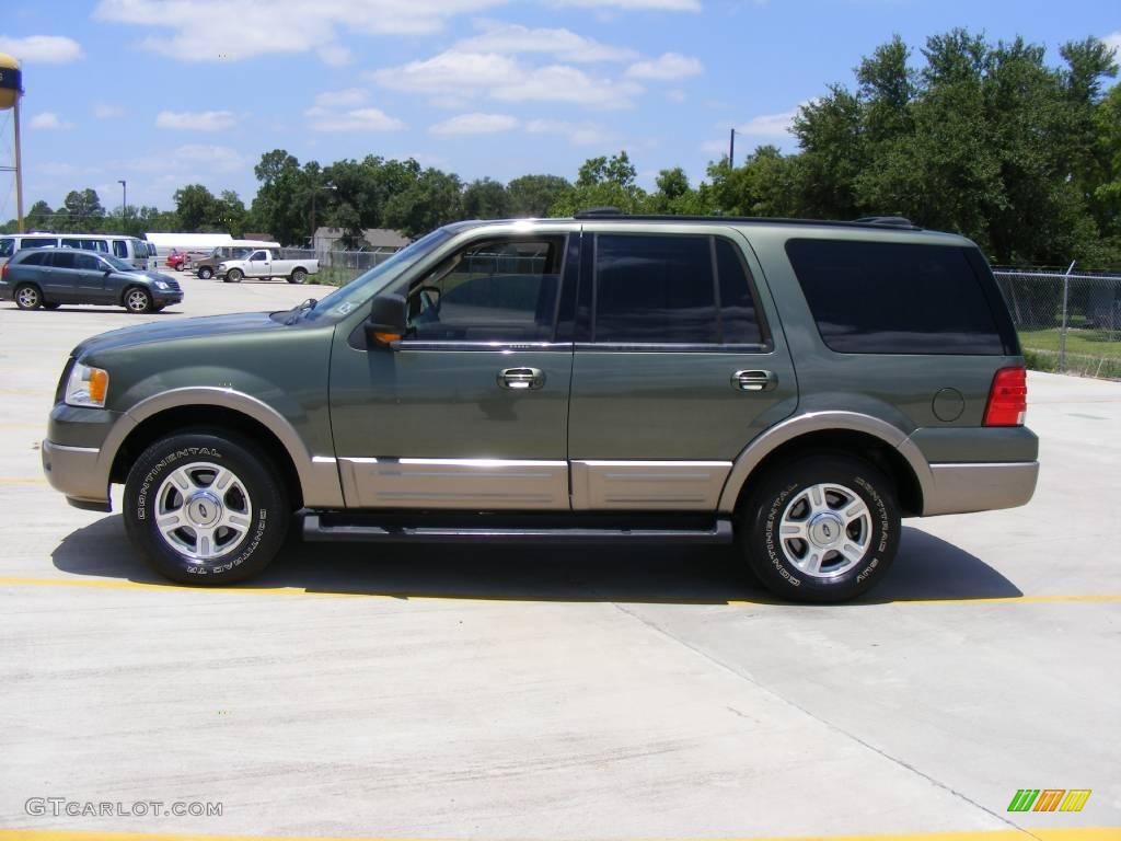 2003 Expedition Eddie Bauer 4x4 - Estate Green Metallic / Medium Parchment photo #6