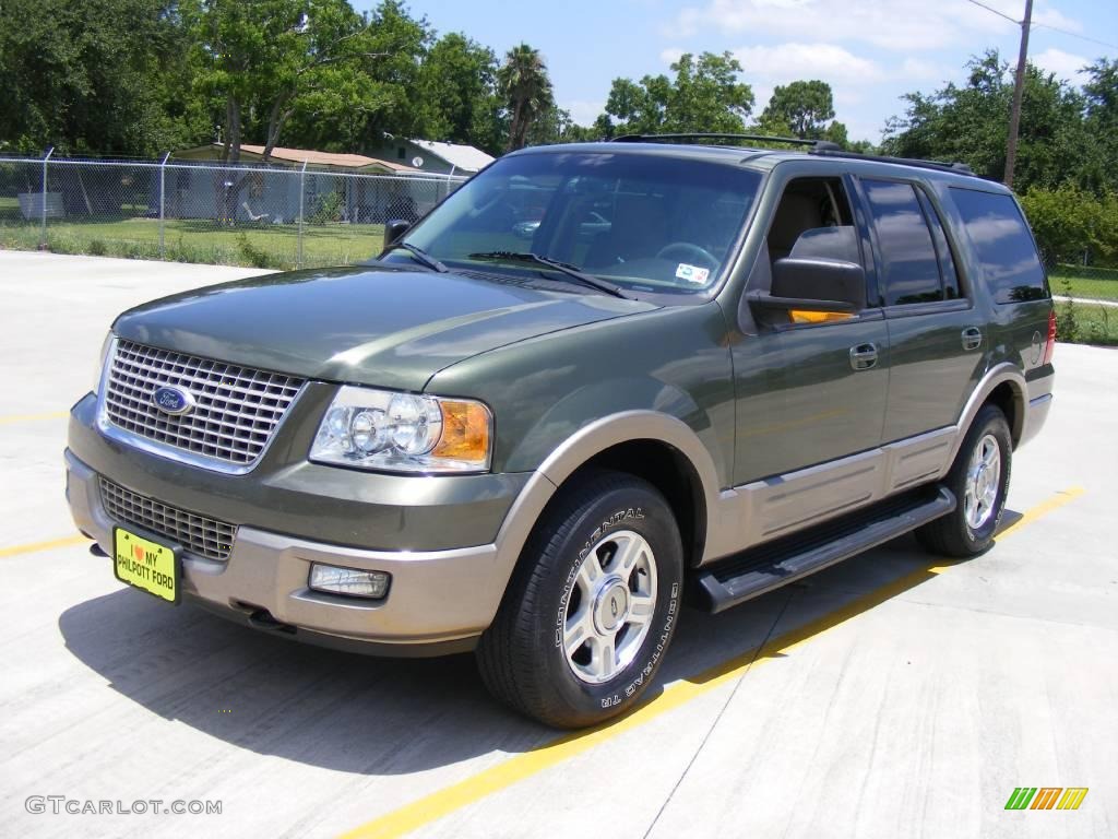 2003 Expedition Eddie Bauer 4x4 - Estate Green Metallic / Medium Parchment photo #7