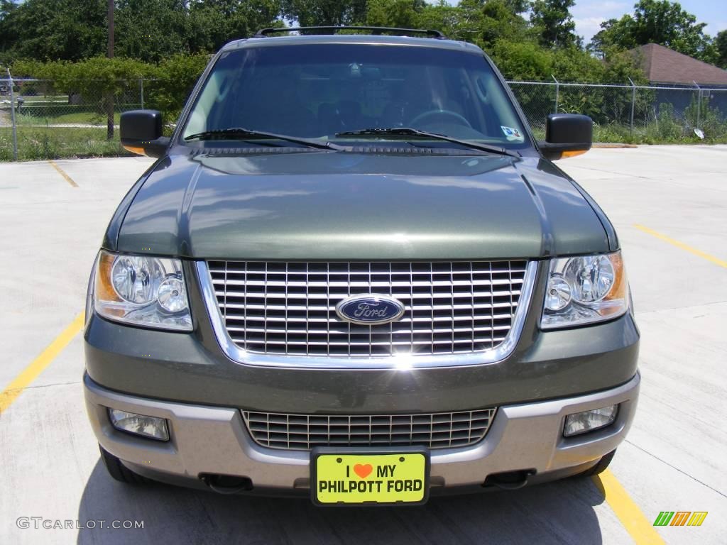 2003 Expedition Eddie Bauer 4x4 - Estate Green Metallic / Medium Parchment photo #8