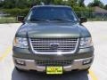 2003 Estate Green Metallic Ford Expedition Eddie Bauer 4x4  photo #8