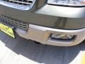 2003 Estate Green Metallic Ford Expedition Eddie Bauer 4x4  photo #10