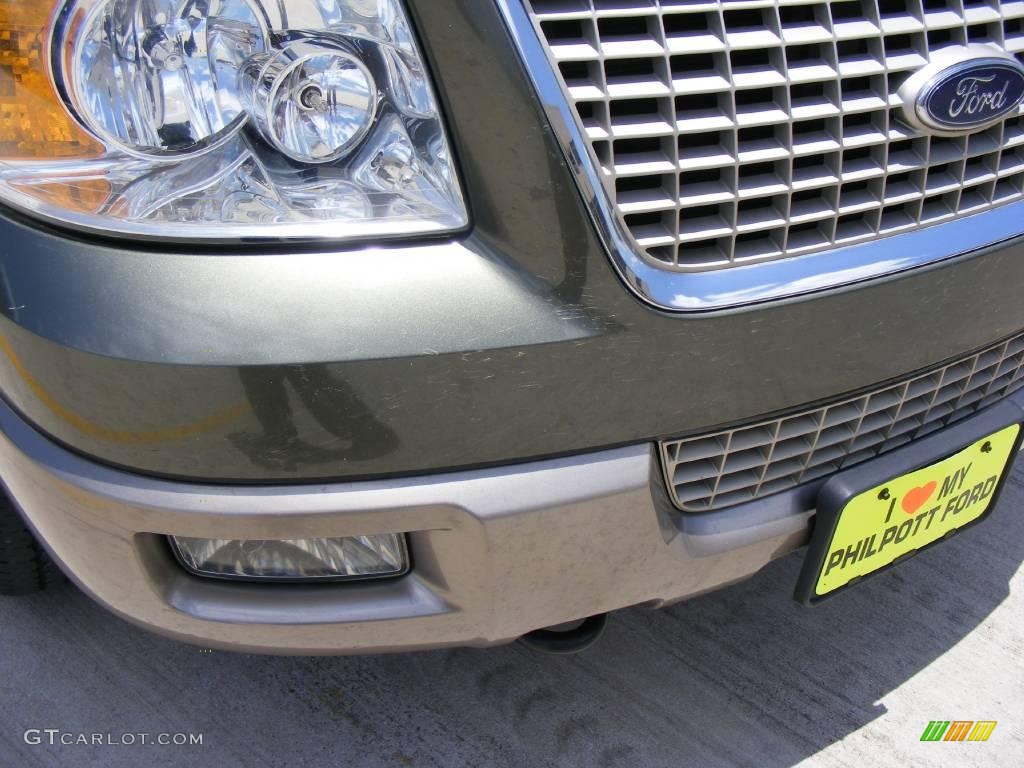2003 Expedition Eddie Bauer 4x4 - Estate Green Metallic / Medium Parchment photo #11