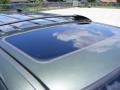2003 Estate Green Metallic Ford Expedition Eddie Bauer 4x4  photo #15