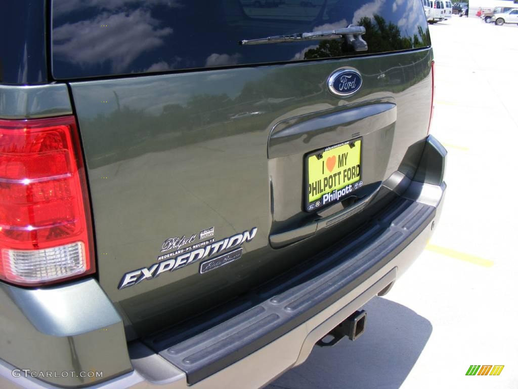 2003 Expedition Eddie Bauer 4x4 - Estate Green Metallic / Medium Parchment photo #18