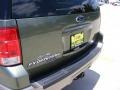 2003 Estate Green Metallic Ford Expedition Eddie Bauer 4x4  photo #18
