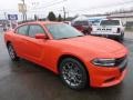 Go Mango - Charger SXT AWD Photo No. 8