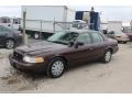 Medium Brown Metallic 2010 Ford Crown Victoria Police Interceptor Exterior