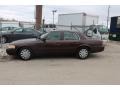 2010 Medium Brown Metallic Ford Crown Victoria Police Interceptor  photo #12