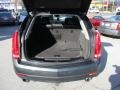 Graphite Metallic - SRX Performance Photo No. 30