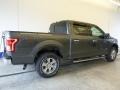 2017 Magnetic Ford F150 XLT SuperCrew 4x4  photo #2