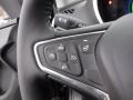 Mosaic Black Metallic - Volt LT Photo No. 18