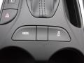 Mosaic Black Metallic - Volt LT Photo No. 20