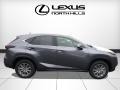 Nebula Gray Pearl - NX 200t AWD Photo No. 2