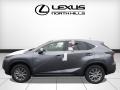 Nebula Gray Pearl - NX 200t AWD Photo No. 3
