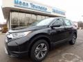 2017 Crystal Black Pearl Honda CR-V LX AWD  photo #1