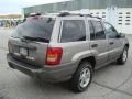 Bright Platinum Metallic - Grand Cherokee Laredo 4x4 Photo No. 6