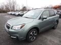 2017 Jasmine Green Metallic Subaru Forester 2.5i Premium  photo #11