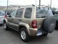 Light Khaki Metallic - Liberty CRD Limited 4x4 Photo No. 5