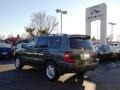 2007 Oasis Green Pearl Toyota Highlander V6  photo #8