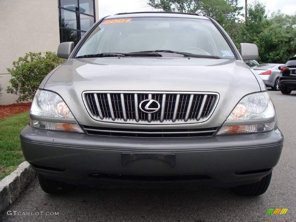 2001 RX 300 - Mineral Green Metallic / Ivory photo #2