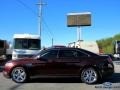 Cinnamon Red Metallic - Taurus Limited Photo No. 2