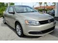 Moonrock Silver Metallic - Jetta SE Sedan Photo No. 2