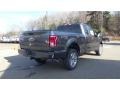 Lithium Gray - F150 XL SuperCab 4x4 Photo No. 7