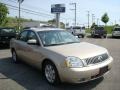 Light French Silk Metallic - Montego Luxury Photo No. 1