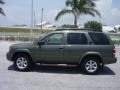 Canteen Green Metallic - Pathfinder SE Photo No. 3