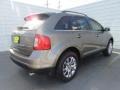 2014 Mineral Gray Ford Edge Limited  photo #7