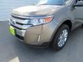 2014 Mineral Gray Ford Edge Limited  photo #55