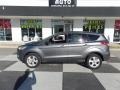Sterling Gray 2014 Ford Escape SE 2.0L EcoBoost