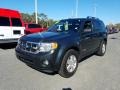 Tungsten Grey Metallic 2008 Ford Escape XLT V6