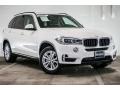 Alpine White - X5 sDrive35i Photo No. 12