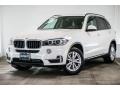 Alpine White - X5 sDrive35i Photo No. 14