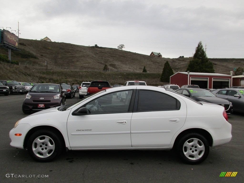 2000 Neon ES - Bright White / Agate photo #4