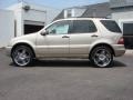 2003 Desert Silver Metallic Mercedes-Benz ML 320 4Matic  photo #3