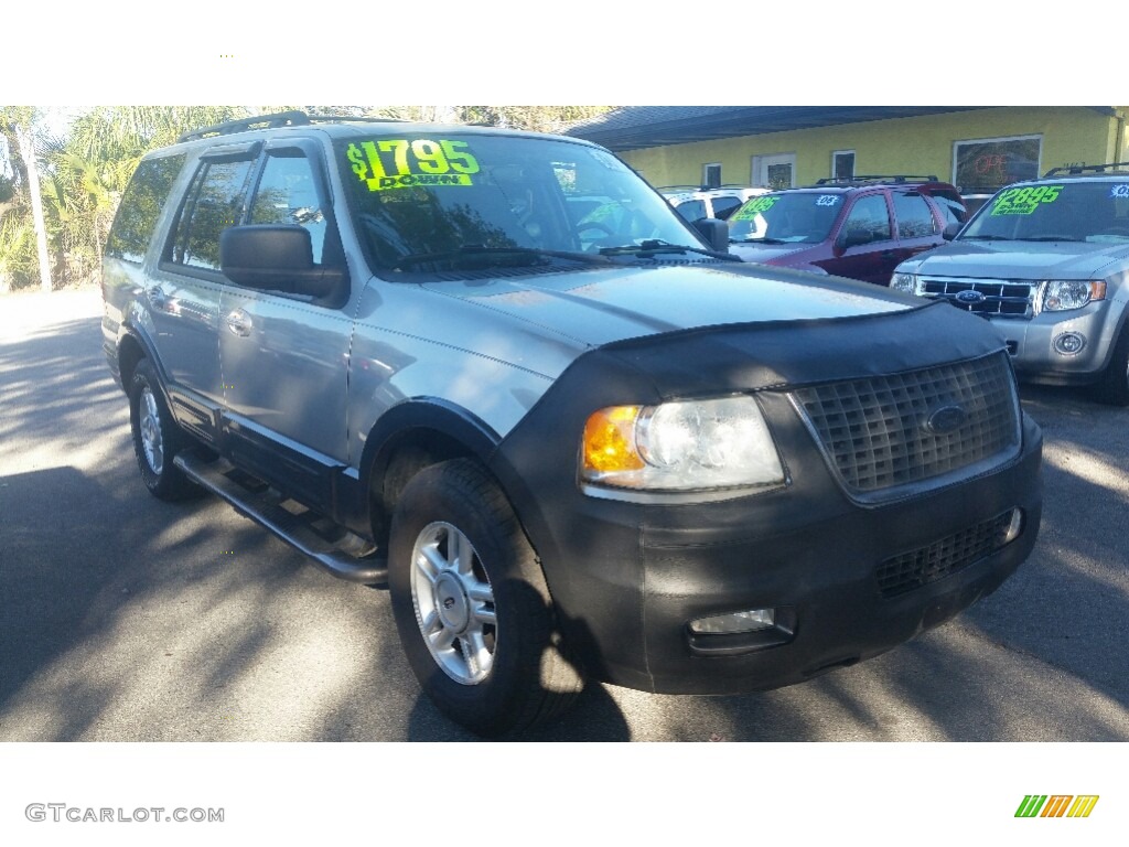 2005 Expedition XLT - Silver Birch Metallic / Medium Flint Grey photo #1