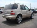 Desert Silver Metallic - ML 320 4Matic Photo No. 6