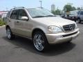 2003 Desert Silver Metallic Mercedes-Benz ML 320 4Matic  photo #8