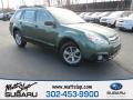 Cypress Green Pearl 2014 Subaru Outback 2.5i Premium