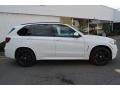 Alpine White - X5 xDrive35i Photo No. 2