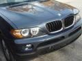 2006 Toledo Blue Metallic BMW X5 3.0i  photo #13