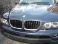 2006 Toledo Blue Metallic BMW X5 3.0i  photo #15