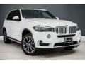 Alpine White - X5 sDrive35i Photo No. 12
